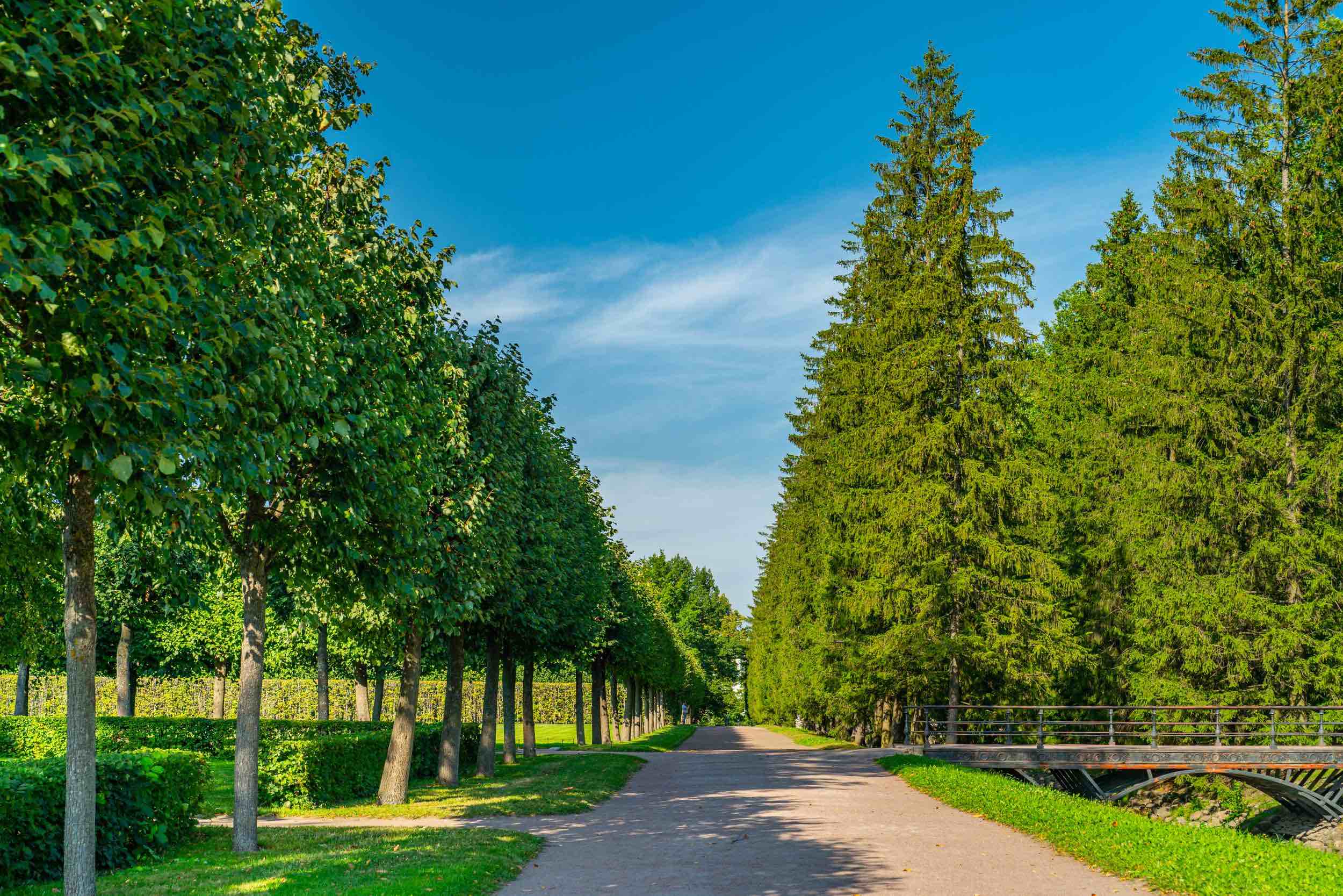 Пушкин (Царское Село), Екатерининский дворец и Янтарная комната фото