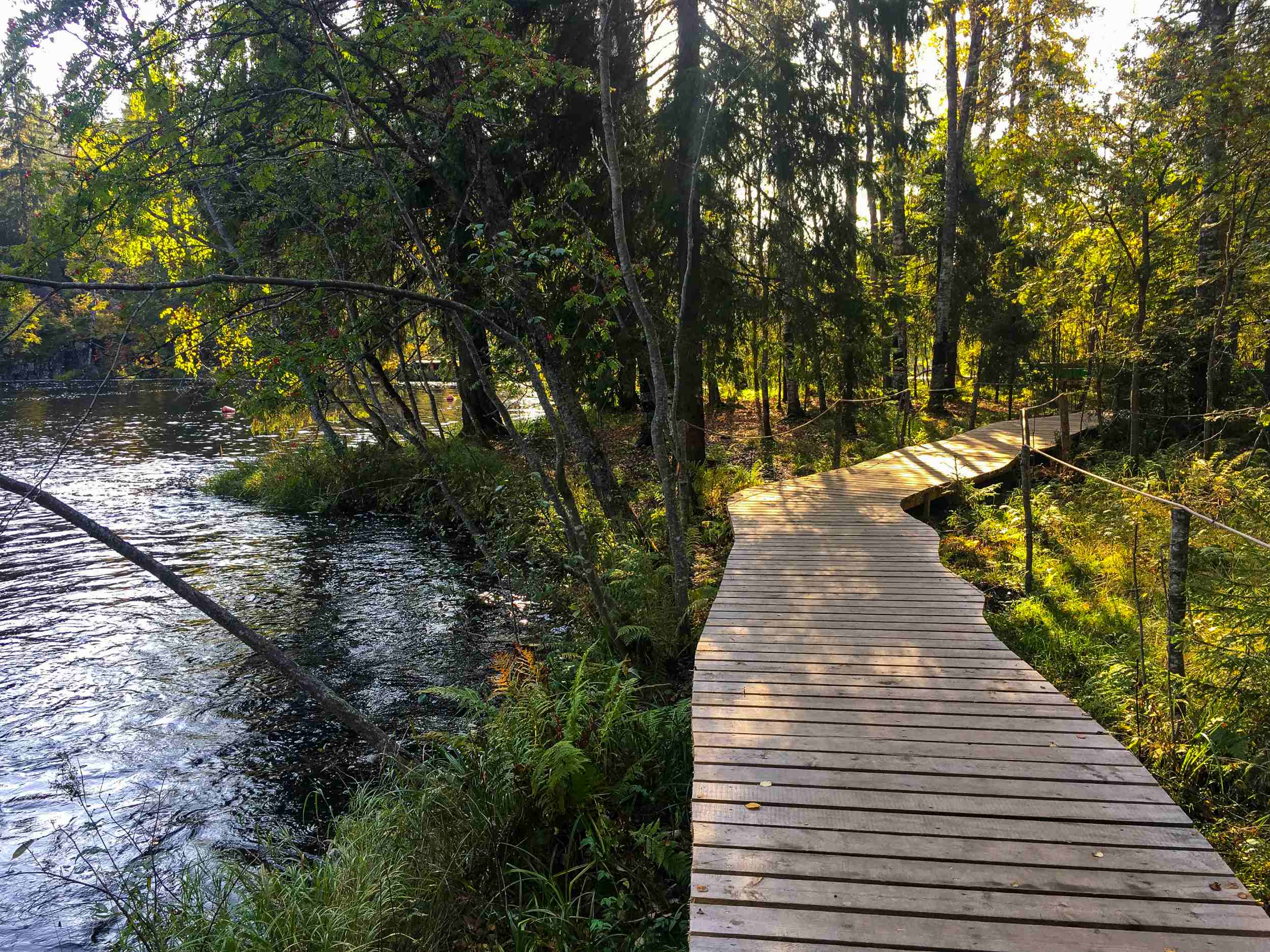 Карелия (Олонец-Петрозаводск-Сортавала) 3 дня фото