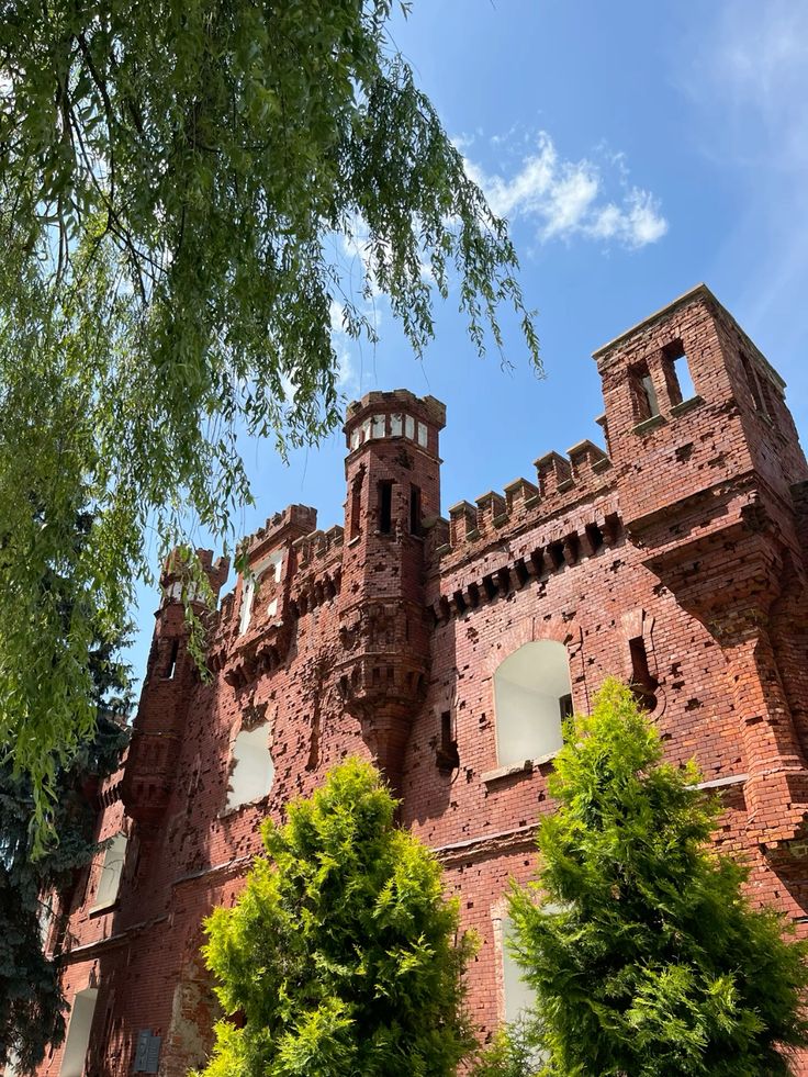 В Беларусь (Минск - Брест - Беловежская пуща - Каменец - Кобрин - Хатынь) фото