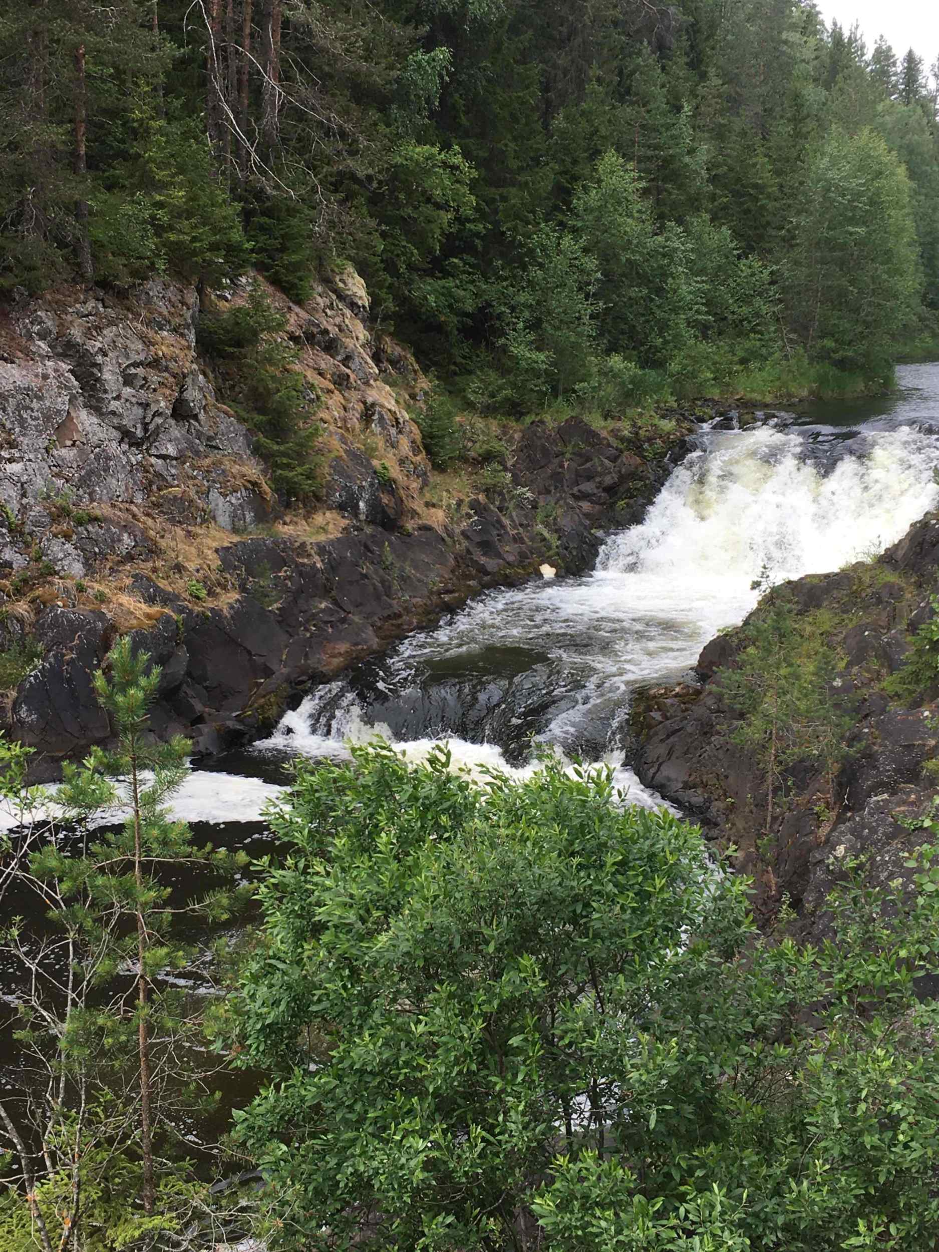 Карелия (Олонец-Петрозаводск-Сортавала) 3 дня фото