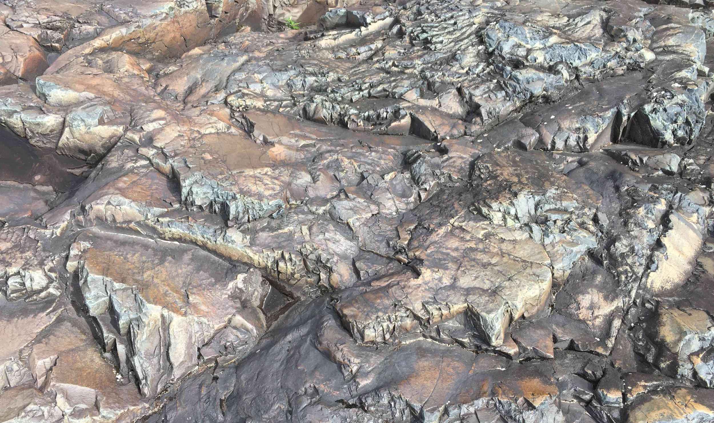 Карелия (Олонец-Петрозаводск-Сортавала) 3 дня фото