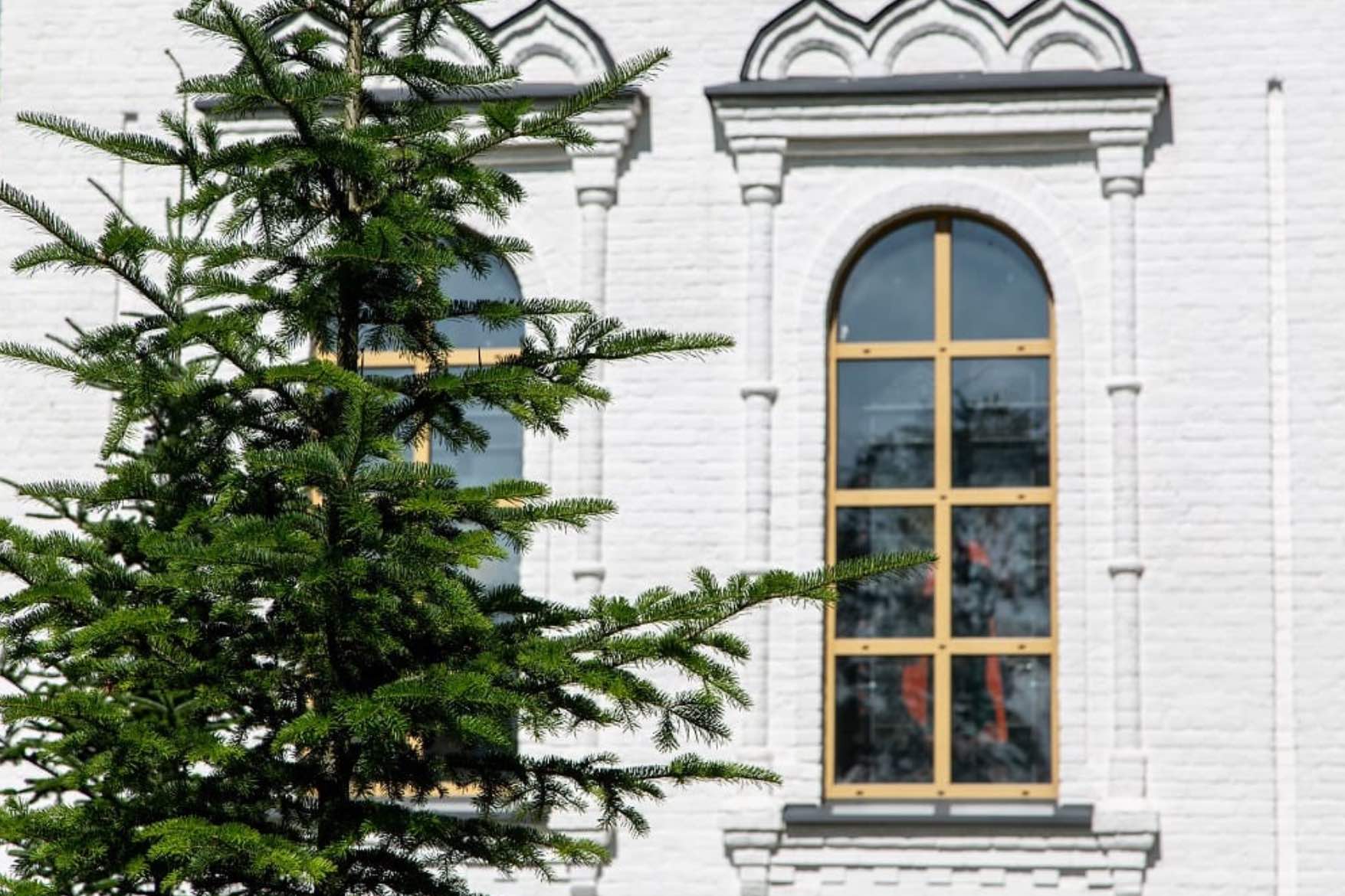 Ястребинская волость фото