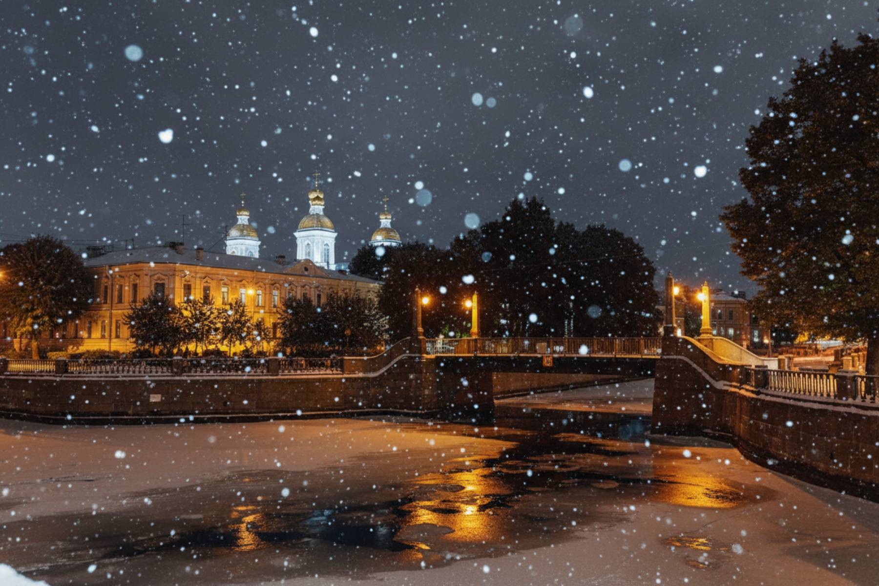 Встреча НОВОГО ГОДА фото