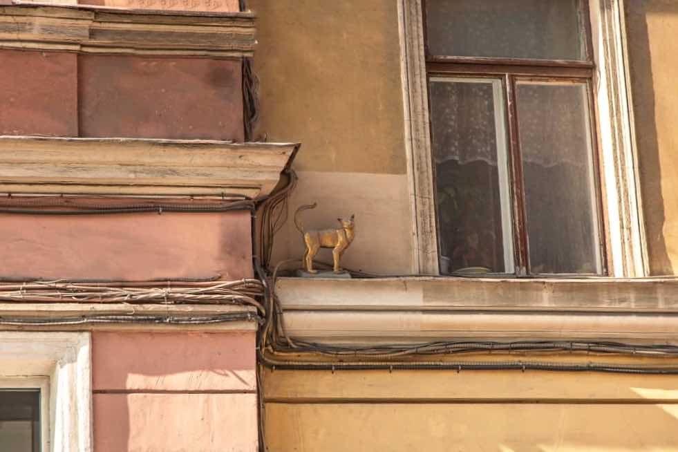 Блокадный Ленинград фото