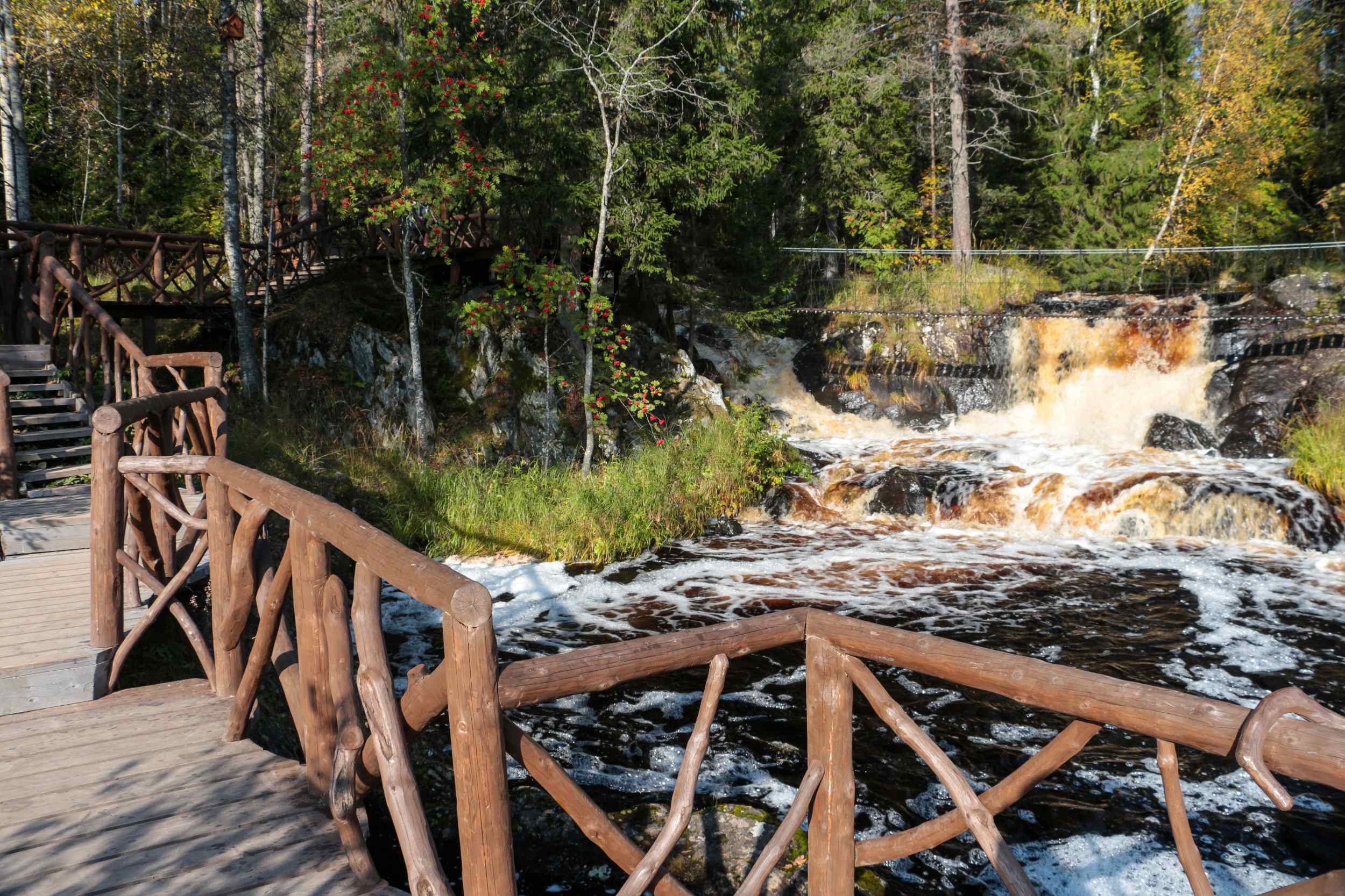 Карелия (Олонец-Петрозаводск-Сортавала) 3 дня фото