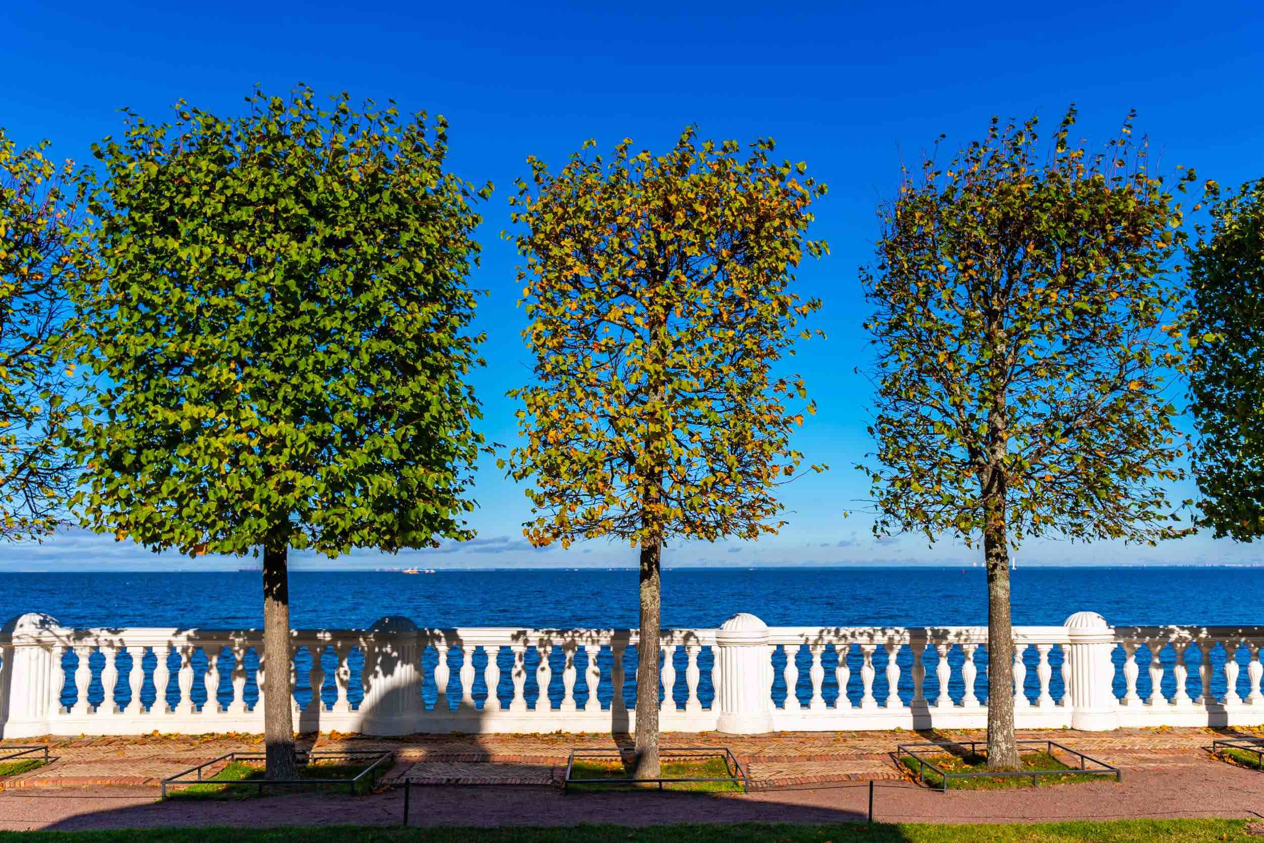 Кронштадт - Петергоф (Морской собор + Фонтаны) фото